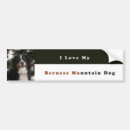 Recherche de bernese voiture autocollants Montagne