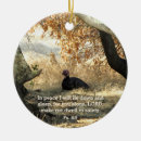 Search for wild turkey ornaments Wildlife