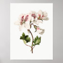 Search for bicolor art Floral