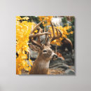Search for whitetail canvas prints Hunting