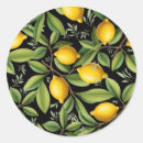 Search for amalfi coast stickers Lemons