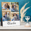 Recherche de amoureux de les chats plaques Pour tous