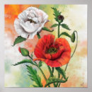 Search for poppy paintings posters For her