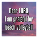 Search for beach volleyball posters Player