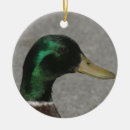 Search for mallard duck ornaments Animals