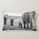 Recherche de éléphant africain coussins Noir et blanc