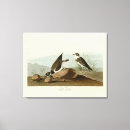 Search for ring canvas prints Illustration