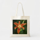 Recherche de lilly sacs Nature