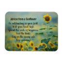 Recherche de conseils magnets Tournesol
