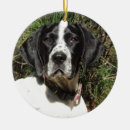 Search for gsp dog ornaments Hunting