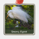 Search for egret ornaments Birds