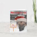 Search for german christmas cards Dogs