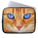 Search for tiger s eye electronics Cat