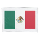 Search for eagle pillowcases Flag