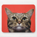 Recherche de chats japonais tapis souris Mignon