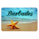 Search for barbados magnets Beach