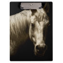 Recherche de cheval porte blocs Animal