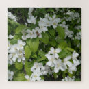Search for savouring Photography