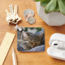 Search for baby sleep keychains Pet