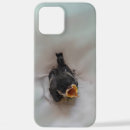 Recherche de birds iphone coques Oiseau