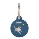 Search for fox pet supplies Terrier