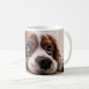 Search for cavalier king charles mugs Puppies