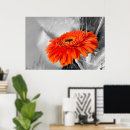 Recherche de arrière plan gris posters Fleur