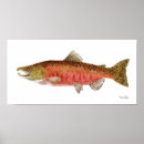 Search for spawning Alaska