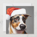 Search for australian cattle dogs christmas cards Funny