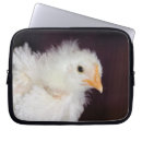 Search for chicken laptop cases Birds