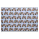 Search for dachshund fabric Animals
