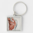 Search for shoulders keychains 19th