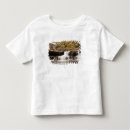Search for babcock clothing West virginia