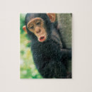 Recherche de chimpanzé puzzles Mignon