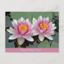 Recherche de waterlily Lotus