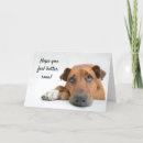 Recherche de get well cards Bientôt