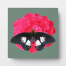 Recherche de papillon rose plaques Peinture