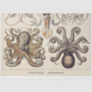 Search for kraken crafts party Nautical