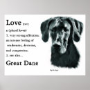 Search for great dane posters Cute