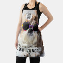 Search for cool dog aprons Cute