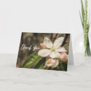 Recherche de pommier vœux cartes Photographie