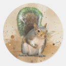 Search for grey squirrel stickers Animal