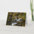 Search for creek fall cards Forest