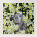 Search for bull terrier puzzles Pet