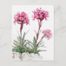 Recherche de alpin cartes postales Aquarelle