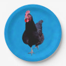 Search for strut Chicken