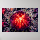 Recherche de oursin posters Rouge
