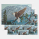 Search for eagle wrapping paper Wildlife