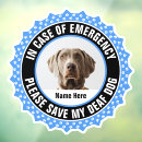 Search for deaf dog Alert