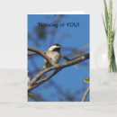 Search for capped chickadee cards Birds